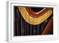 White Frame