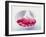 Heart-Shaped Lollipops-Jonathan Syer-Framed Premium Photographic Print