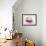 Heart-Shaped Lollipops-Jonathan Syer-Framed Photographic Print displayed on a wall