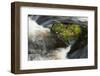 Heart-shaped mossy rock in fast flowing river, Ayrshire-Niall Benvie-Framed Photographic Print