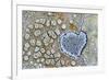 Heart shaped pattern in Map lichen on rock, Menorca, Spain-Edwin Giesbers-Framed Photographic Print