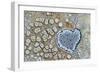 Heart shaped pattern in Map lichen on rock, Menorca, Spain-Edwin Giesbers-Framed Photographic Print