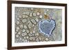 Heart shaped pattern in Map lichen on rock, Menorca, Spain-Edwin Giesbers-Framed Photographic Print