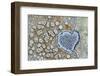 Heart shaped pattern in Map lichen on rock, Menorca, Spain-Edwin Giesbers-Framed Photographic Print