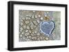 Heart shaped pattern in Map lichen on rock, Menorca, Spain-Edwin Giesbers-Framed Photographic Print