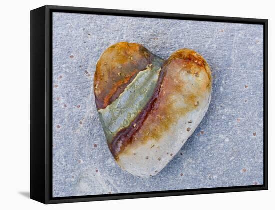 Heart-Shaped Pebble, Scotland, UK-Niall Benvie-Framed Stretched Canvas