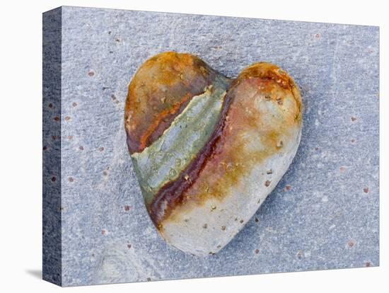 Heart-Shaped Pebble, Scotland, UK-Niall Benvie-Stretched Canvas