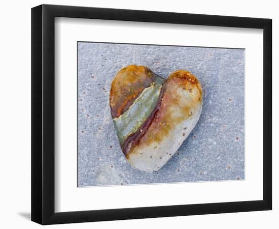 Heart-Shaped Pebble, Scotland, UK-Niall Benvie-Framed Photographic Print