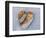 Heart-Shaped Pebble, Scotland, UK-Niall Benvie-Framed Photographic Print