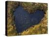 Heart-Shaped Pool on Saltmarsh, Argyll, Scotland, UK, November 2007-Niall Benvie-Stretched Canvas