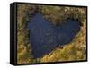 Heart-Shaped Pool on Saltmarsh, Argyll, Scotland, UK, November 2007-Niall Benvie-Framed Stretched Canvas