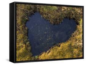 Heart-Shaped Pool on Saltmarsh, Argyll, Scotland, UK, November 2007-Niall Benvie-Framed Stretched Canvas
