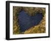 Heart-Shaped Pool on Saltmarsh, Argyll, Scotland, UK, November 2007-Niall Benvie-Framed Photographic Print