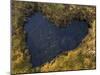 Heart-Shaped Pool on Saltmarsh, Argyll, Scotland, UK, November 2007-Niall Benvie-Mounted Photographic Print