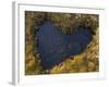 Heart-Shaped Pool on Saltmarsh, Argyll, Scotland, UK, November 2007-Niall Benvie-Framed Photographic Print