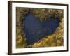 Heart-Shaped Pool on Saltmarsh, Argyll, Scotland, UK, November 2007-Niall Benvie-Framed Photographic Print
