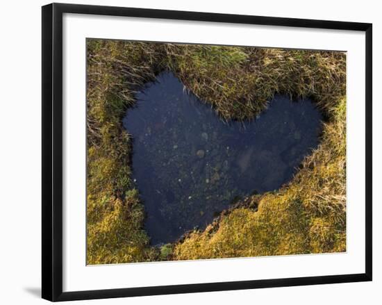 Heart-Shaped Pool on Saltmarsh, Argyll, Scotland, UK, November 2007-Niall Benvie-Framed Photographic Print