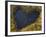 Heart-Shaped Pool on Saltmarsh, Argyll, Scotland, UK, November 2007-Niall Benvie-Framed Photographic Print