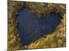 Heart-Shaped Pool on Saltmarsh, Argyll, Scotland, UK, November 2007-Niall Benvie-Mounted Photographic Print
