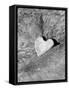 Heart Shaped Rock, Sradled in Larger Rock-Janell Davidson-Framed Stretched Canvas