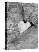 Heart Shaped Rock, Sradled in Larger Rock-Janell Davidson-Stretched Canvas