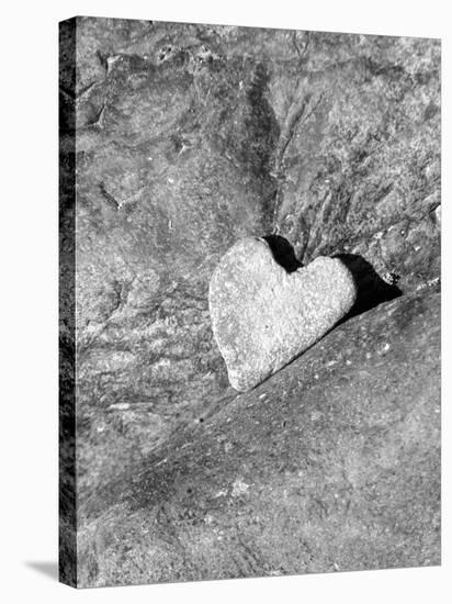 Heart Shaped Rock, Sradled in Larger Rock-Janell Davidson-Stretched Canvas