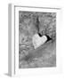 Heart Shaped Rock, Sradled in Larger Rock-Janell Davidson-Framed Photographic Print