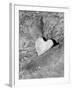 Heart Shaped Rock, Sradled in Larger Rock-Janell Davidson-Framed Photographic Print