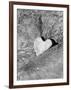 Heart Shaped Rock, Sradled in Larger Rock-Janell Davidson-Framed Photographic Print