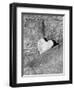 Heart Shaped Rock, Sradled in Larger Rock-Janell Davidson-Framed Premium Photographic Print