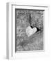 Heart Shaped Rock, Sradled in Larger Rock-Janell Davidson-Framed Premium Photographic Print