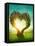 Heart Shaped Tree in the Meadow-egal-Framed Stretched Canvas