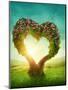 Heart Shaped Tree in the Meadow-egal-Mounted Photographic Print