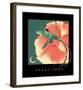 Heart Song 1-Sybil Shane-Framed Art Print