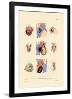 Heart Structure, 1833-39-null-Framed Giclee Print