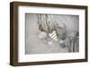 Heart, Tag, Wooden Pole, Stones, Beach, Symbol, Love-Andrea Haase-Framed Photographic Print