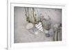 Heart, Tag, Wooden Pole, Stones, Beach, Symbol, Love-Andrea Haase-Framed Photographic Print