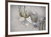 Heart, Tag, Wooden Pole, Stones, Beach, Symbol, Love-Andrea Haase-Framed Photographic Print