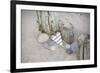 Heart, Tag, Wooden Pole, Stones, Beach, Symbol, Love-Andrea Haase-Framed Photographic Print