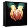 Heart Transplant-Kevin Curtis-Framed Stretched Canvas