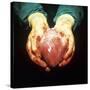 Heart Transplant-Kevin Curtis-Stretched Canvas