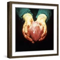 Heart Transplant-Kevin Curtis-Framed Premium Photographic Print