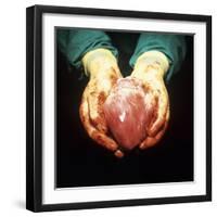 Heart Transplant-Kevin Curtis-Framed Premium Photographic Print