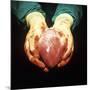 Heart Transplant-Kevin Curtis-Mounted Photographic Print