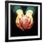 Heart Transplant-Kevin Curtis-Framed Photographic Print