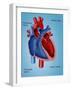 Heart Valves-Monica Schroeder-Framed Giclee Print