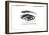 Heartache-Alex Cherry-Framed Premium Giclee Print