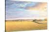 Heartland Landscape-James Wiens-Stretched Canvas