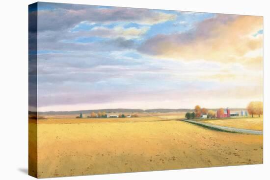 Heartland Landscape-James Wiens-Stretched Canvas