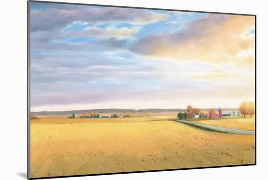 Heartland Landscape-James Wiens-Mounted Art Print